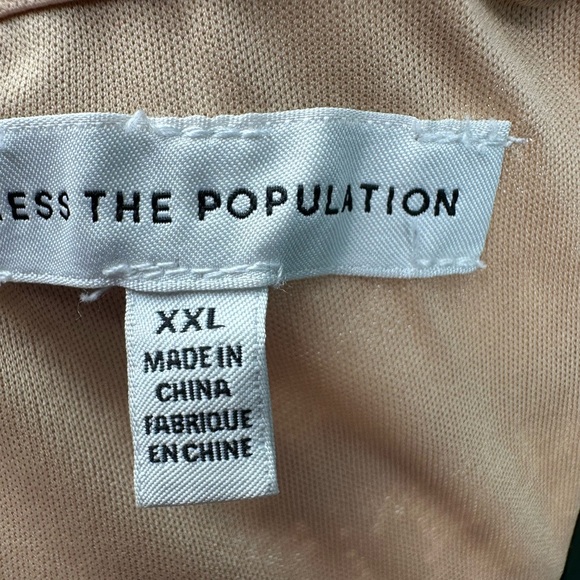 Dress the Population Leanne Pink Lace Dress - Picture 7 of 10